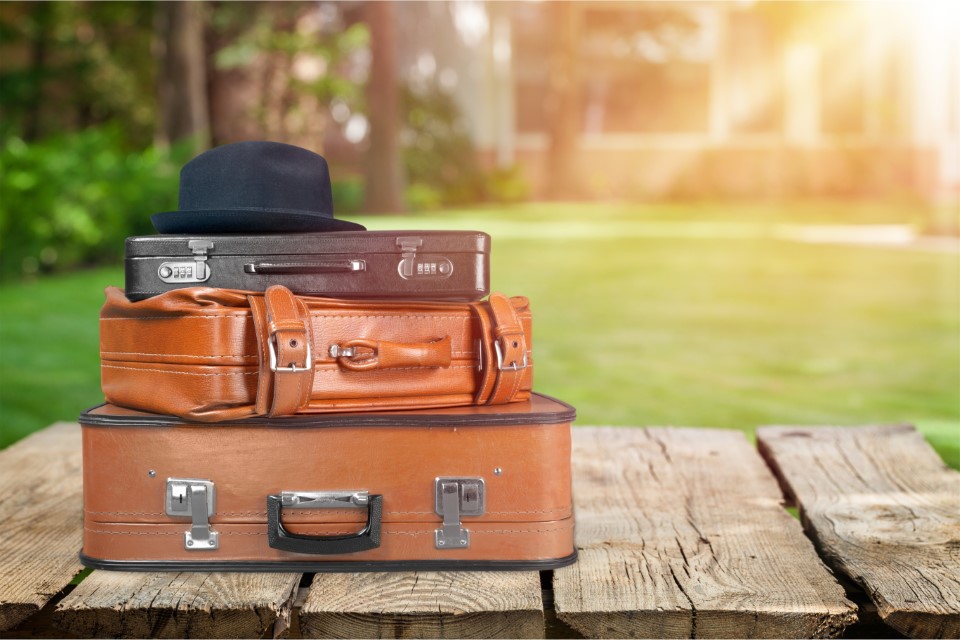 Valigia aperta in mezzo alla natura